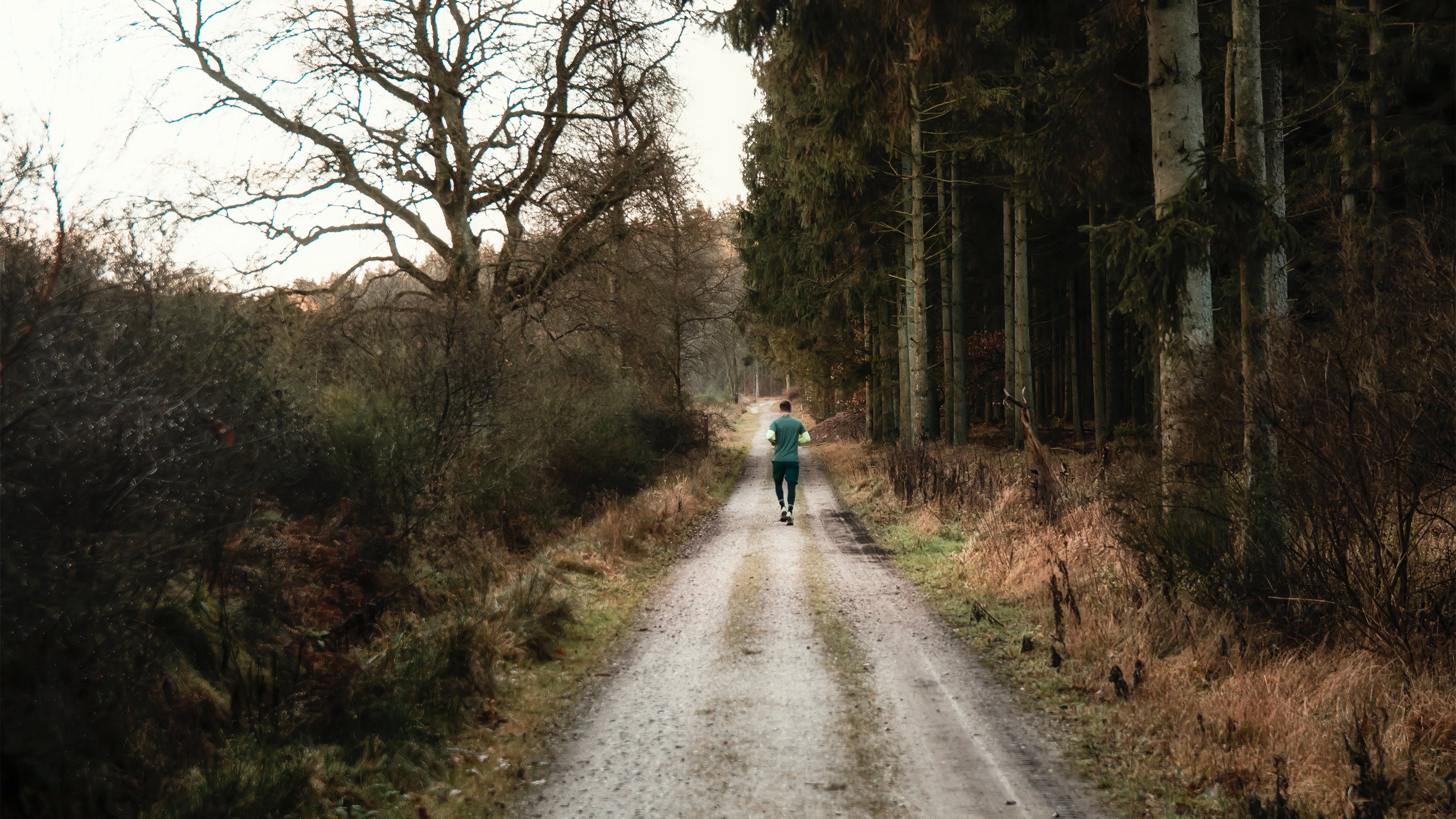 jogger forest
